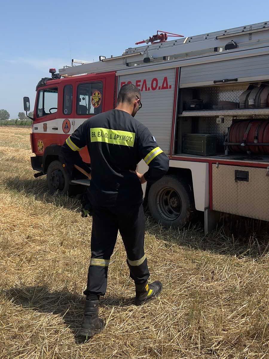 Αρχική 503583830 18042622160623267 3646523338745904601 n